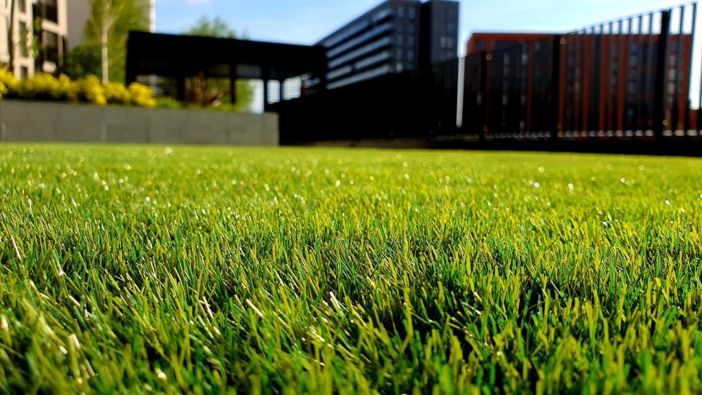 Freshly Cut Grass